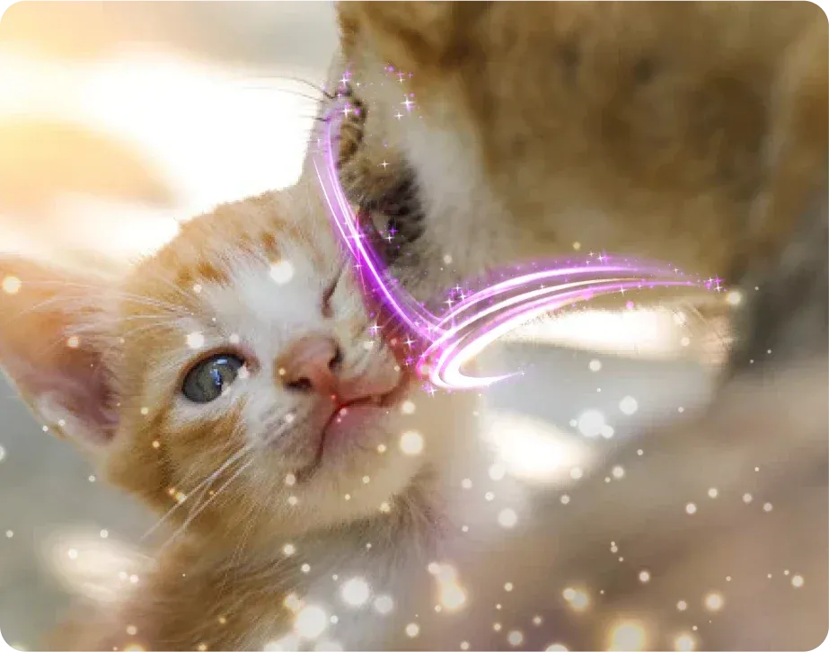 ZenPaws™ Diffuseur Apaisant Félin