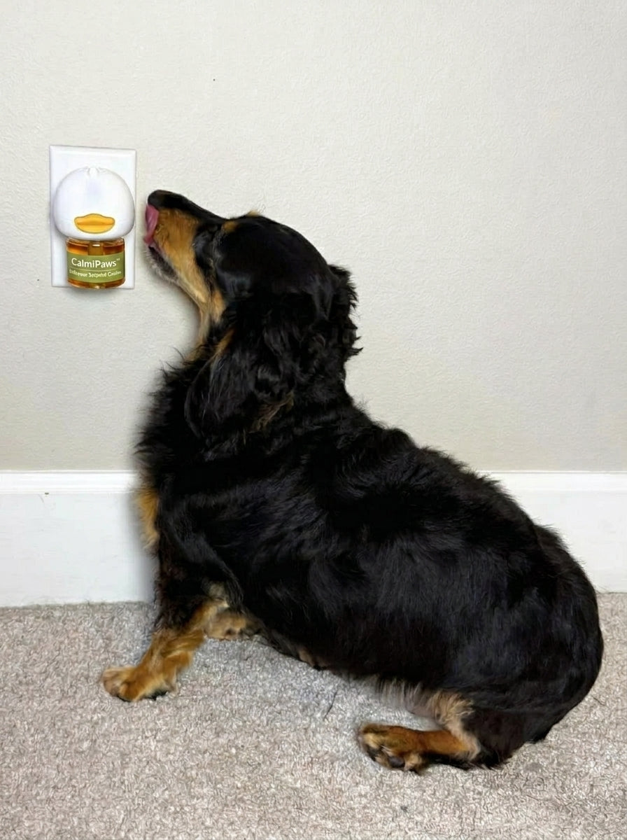 CalmiPaws™ Diffuseur Sérénité Canine
