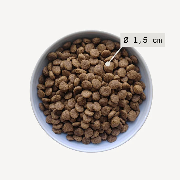 DermaPaw InsectCare™ – Croquettes Apaisantes Hypoallergéniques pour Chiens Sensibles