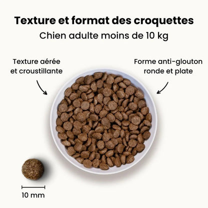 DermaPaw InsectCare™ – Croquettes Apaisantes Hypoallergéniques pour Chiens Sensibles