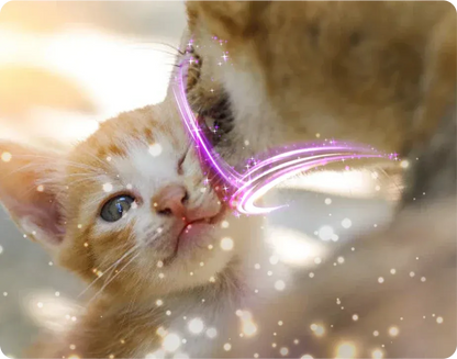 ZenPaws™ Diffuseur Apaisant Félin