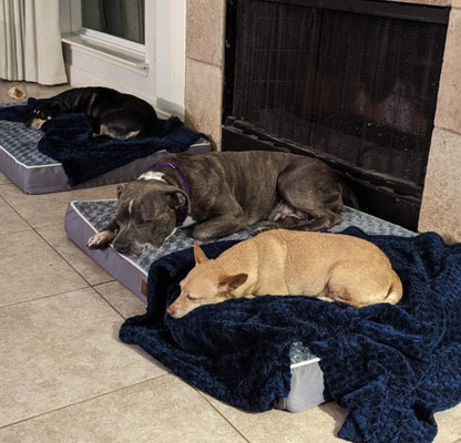 CalmiPaws™ Diffuseur Sérénité Canine